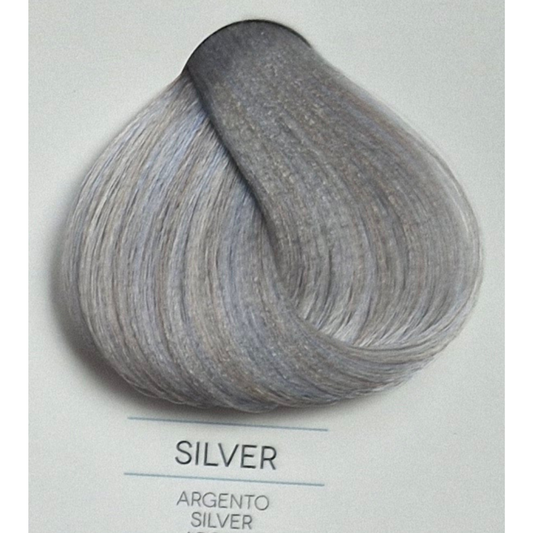 Vopsea Natural Touch All Free 100ml - TONER SILVER