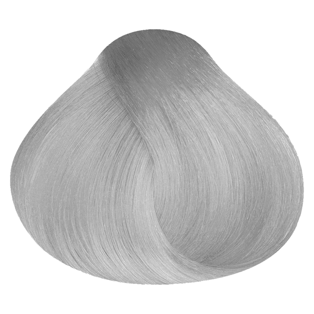 Vopsea Natural Touch All Free 100ml - TONER SILVER