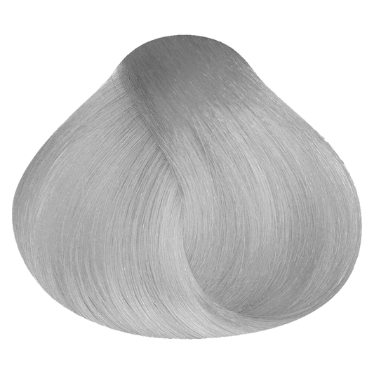 Vopsea Natural Touch All Free 100ml - TONER SILVER