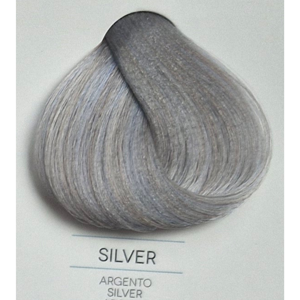 Vopsea Natural Touch All Free 100ml - TONER SILVER
